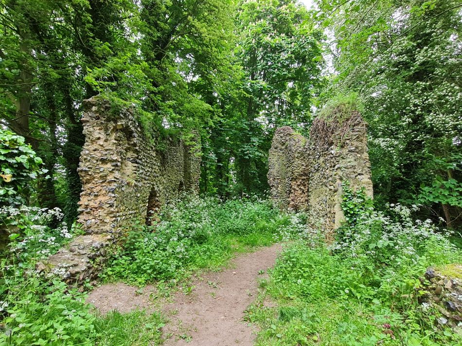 2023-05-31 13 Hempnall.jpg