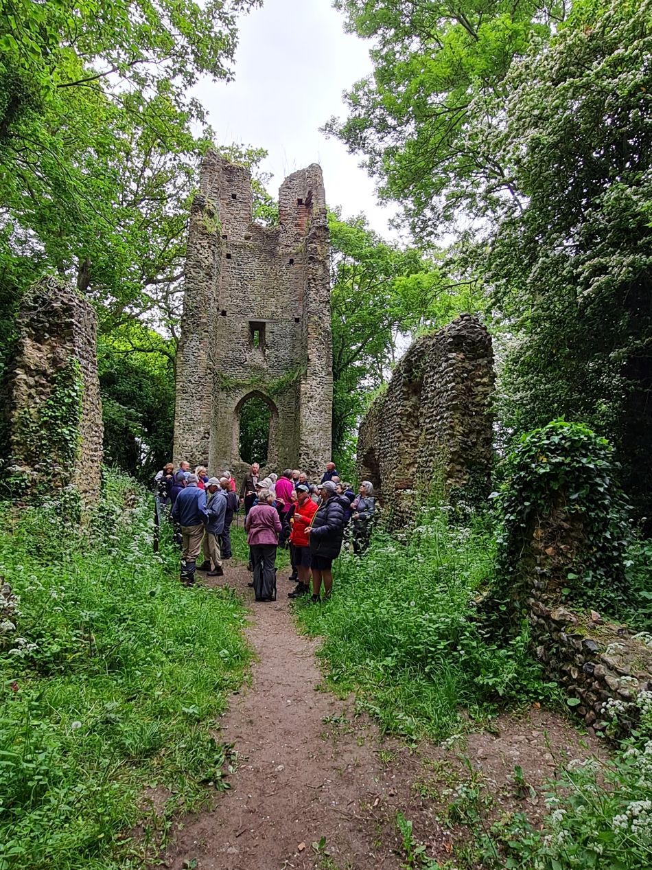 2023-05-31 14 Hempnall.jpg