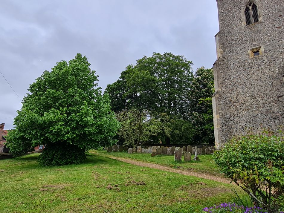 2023-05-31 19 Hempnall.jpg