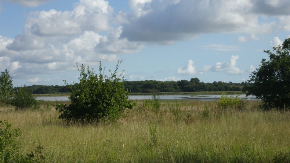 2017-09-02 05 B St Eds at Snape Chillesford Butley.jpg