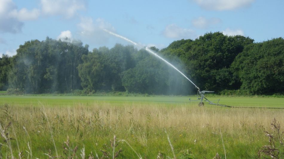 2017-09-02 06 B St Eds at Snape Chillesford Butley.jpg