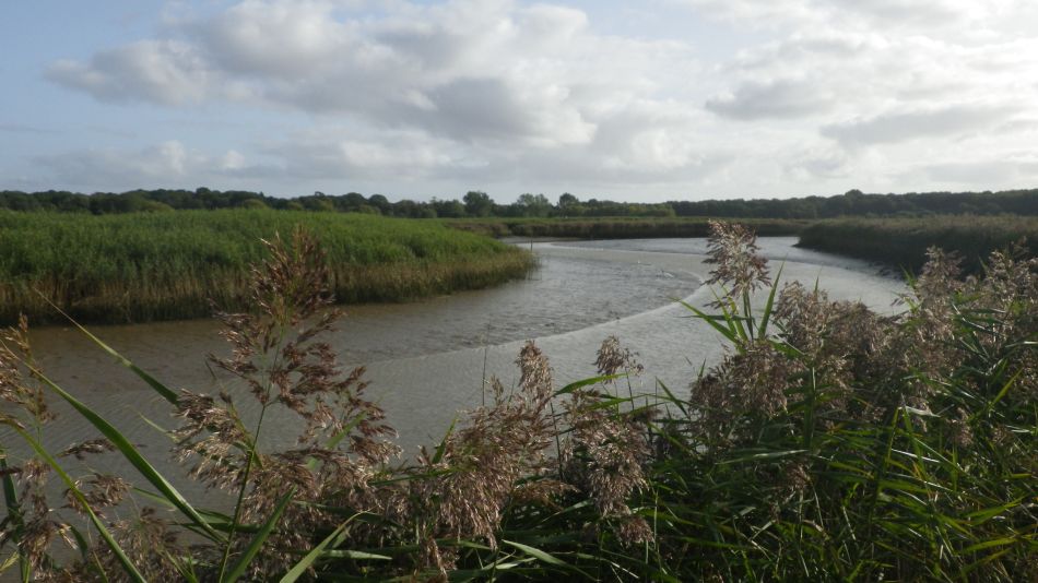 2020-09-17 02 Sandlings 7 - Snape Maltings.jpg