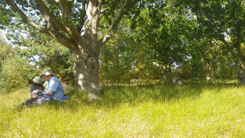 2020-09-17 08 Sandlings 7 - Snape Maltings.jpg
