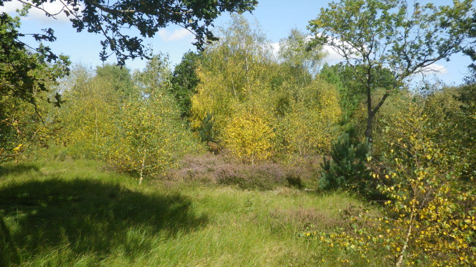 2020-09-17 09 Sandlings 7 - Snape Maltings.jpg