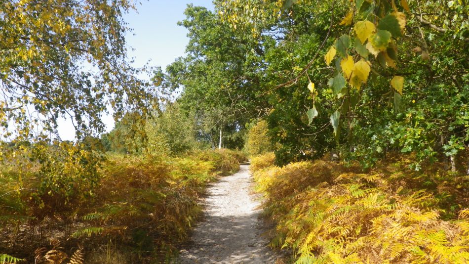 2020-09-17 10 Sandlings 7 - Snape Maltings.jpg