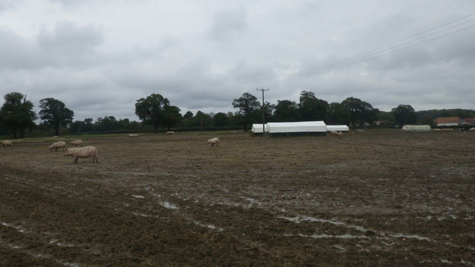 2020-10-01 05 Sandlings 8 - Snape Maltings.jpg