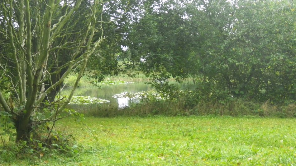 2020-10-01 07 Sandlings 8 - Snape Maltings.jpg