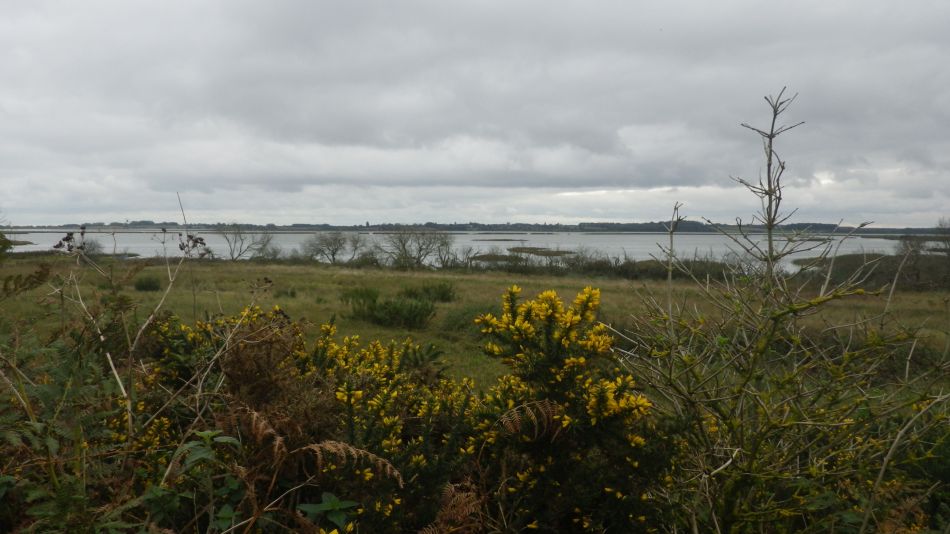 2020-10-01 08 Sandlings 8 - Snape Maltings.jpg