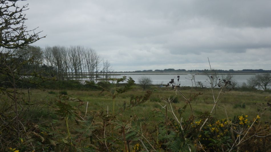 2020-10-01 09 Sandlings 8 - Snape Maltings.jpg