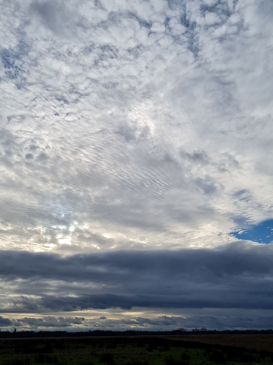 2024-02-03 28 Suffolk Area AGM.jpg