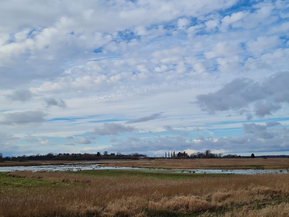 2024-02-03 29 Suffolk Area AGM.jpg