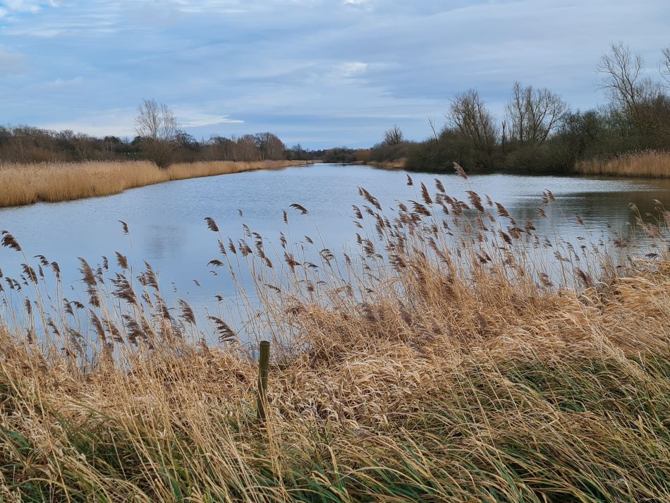 2024-02-03 31 Suffolk Area AGM.jpg