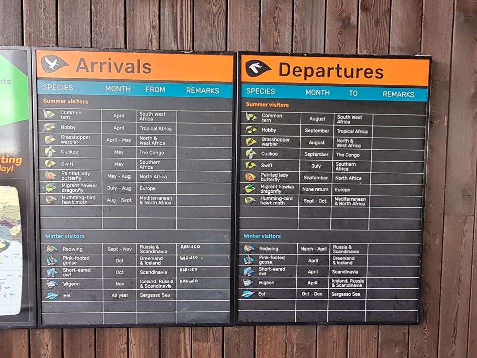 2024-02-03 39 Suffolk Area AGM.jpg