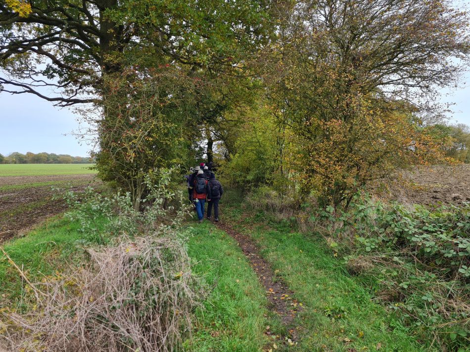 2023-11-14 04 Wyverstone.jpg