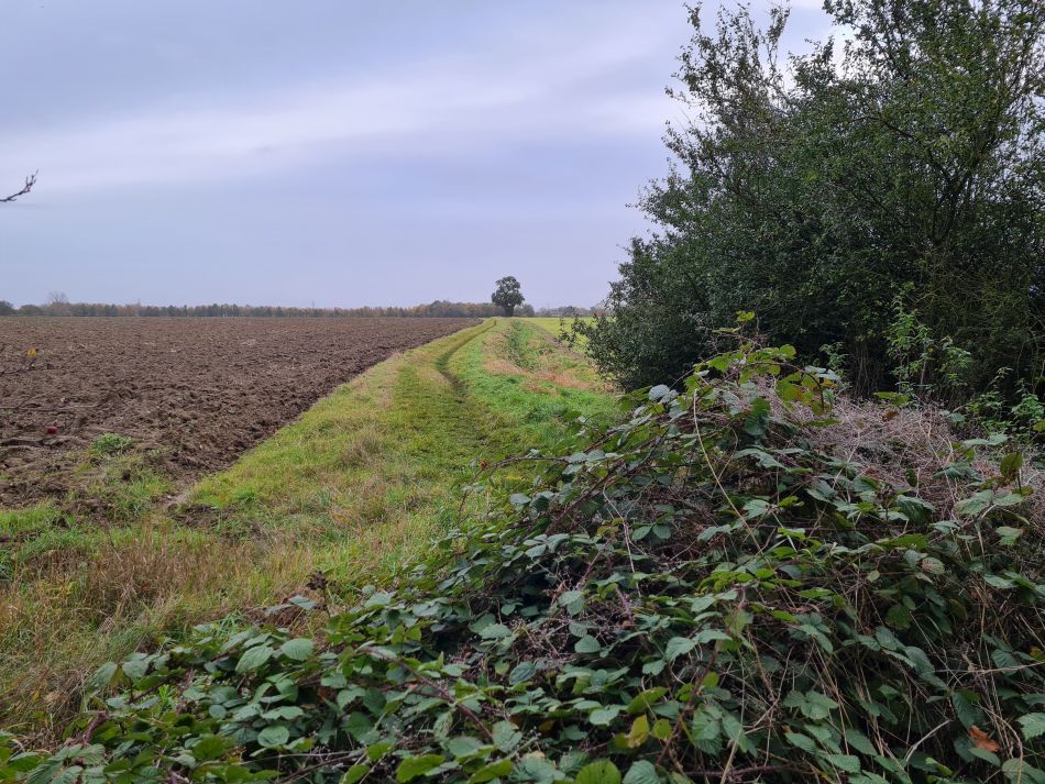 2023-11-14 05 Wyverstone.jpg