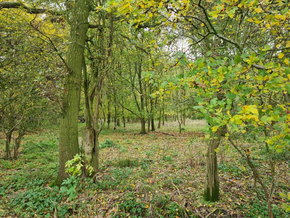 2023-11-14 06 Wyverstone.jpg