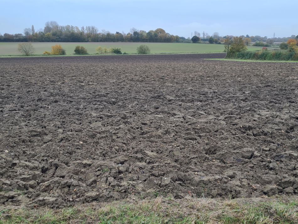 2023-11-14 30 Wyverstone.jpg