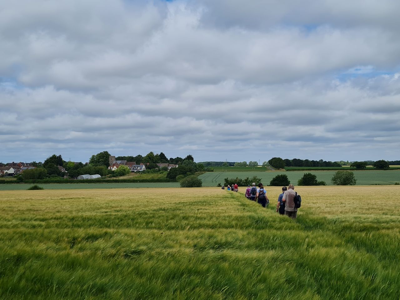 2025-06-24 29 Wyverstone and Westhorpe.jpg
