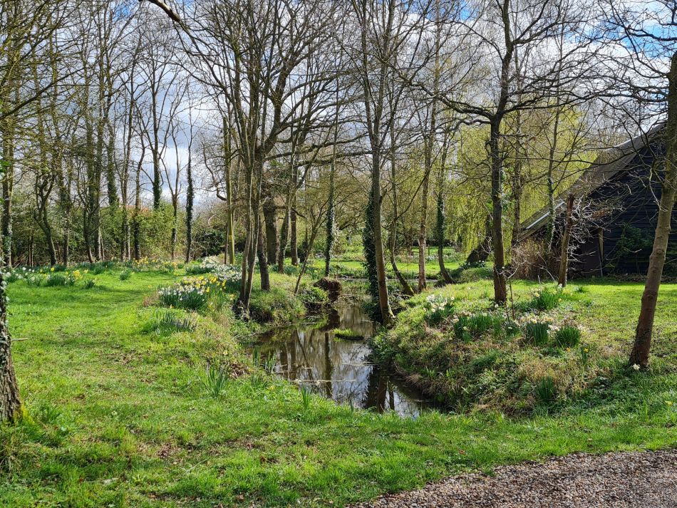 2024-04-01 04 Alde Valley Group at Saxtead Green.jpg