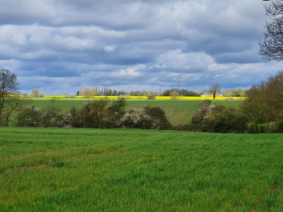 2024-04-01 09 Alde Valley Group at Saxtead Green.jpg