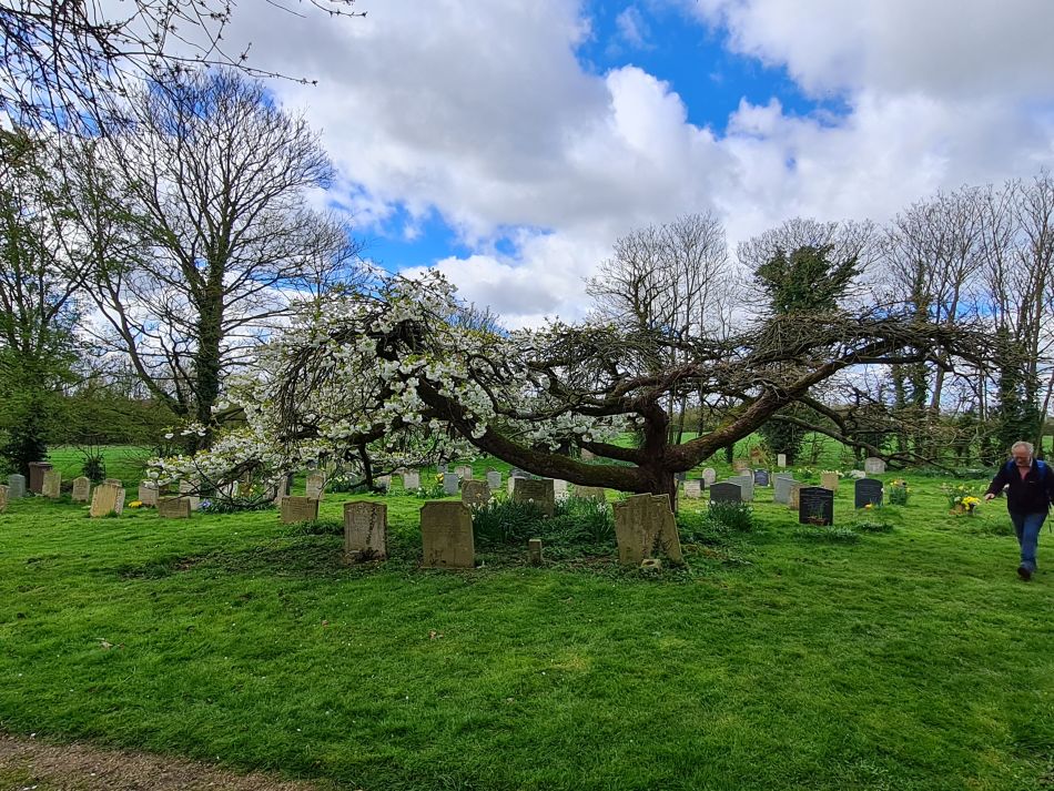 2024-04-01 13 Alde Valley Group at Saxtead Green.jpg