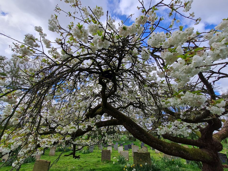 2024-04-01 17 Alde Valley Group at Saxtead Green.jpg