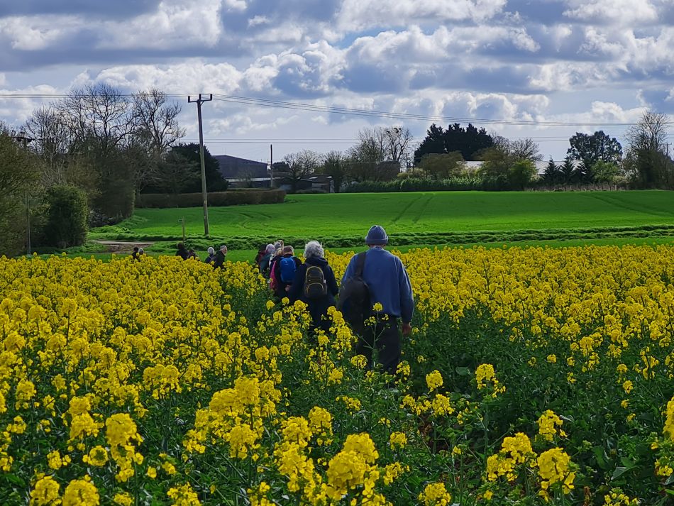 2024-04-01 20 Alde Valley Group at Saxtead Green.jpg