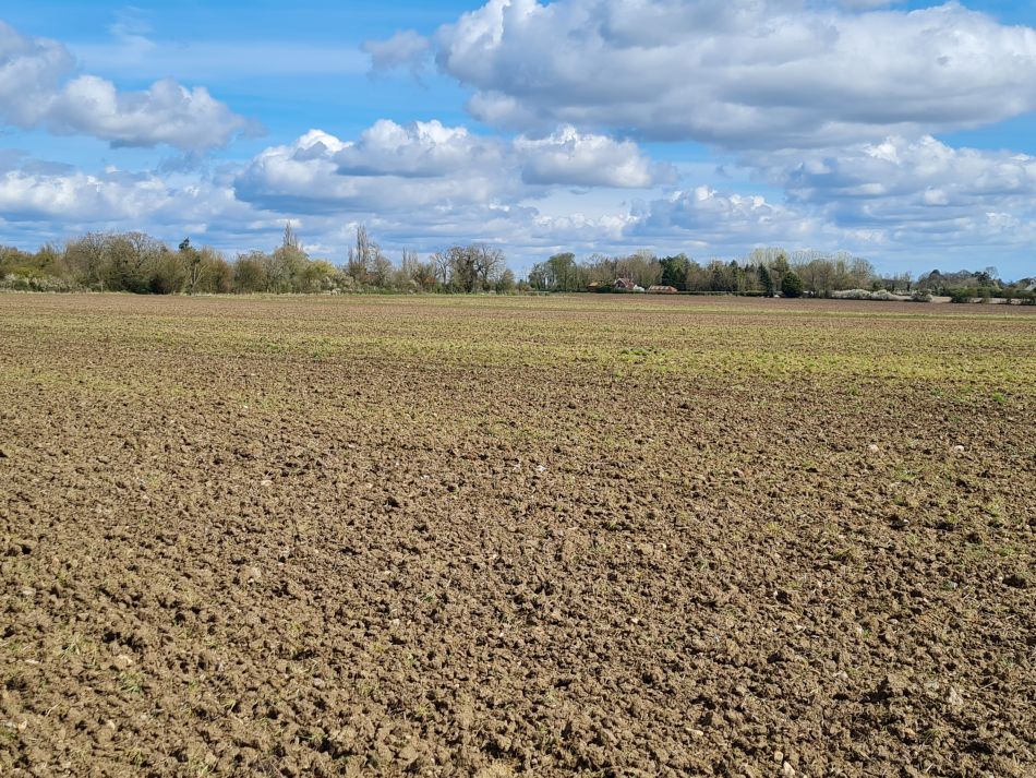 2024-04-01 28 Alde Valley Group at Saxtead Green.jpg