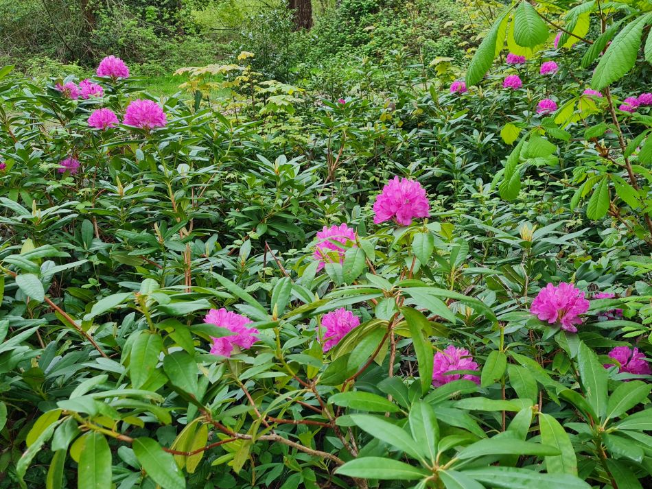 2024-04-24 04 Petersfield and Buriton.jpg