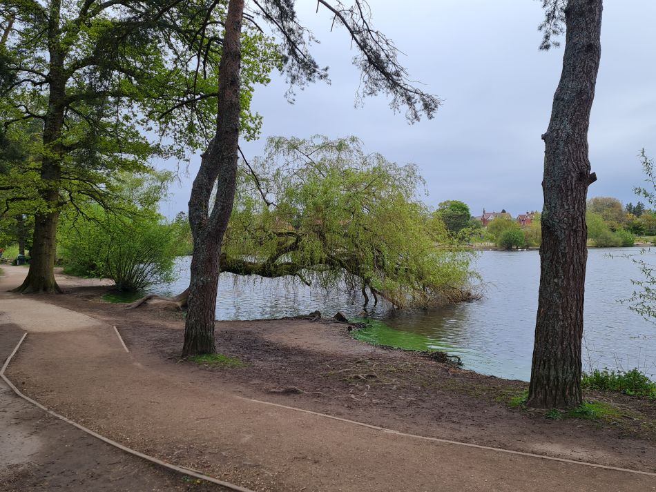 2024-04-24 06 Petersfield and Buriton.jpg