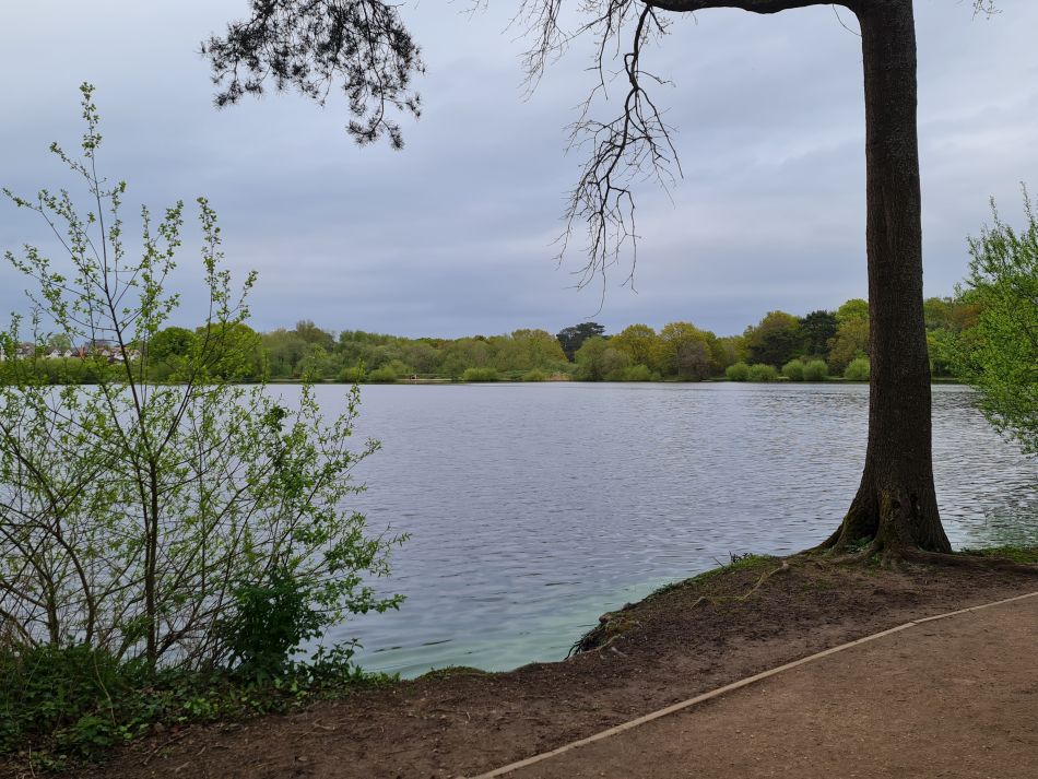 2024-04-24 07 Petersfield and Buriton.jpg