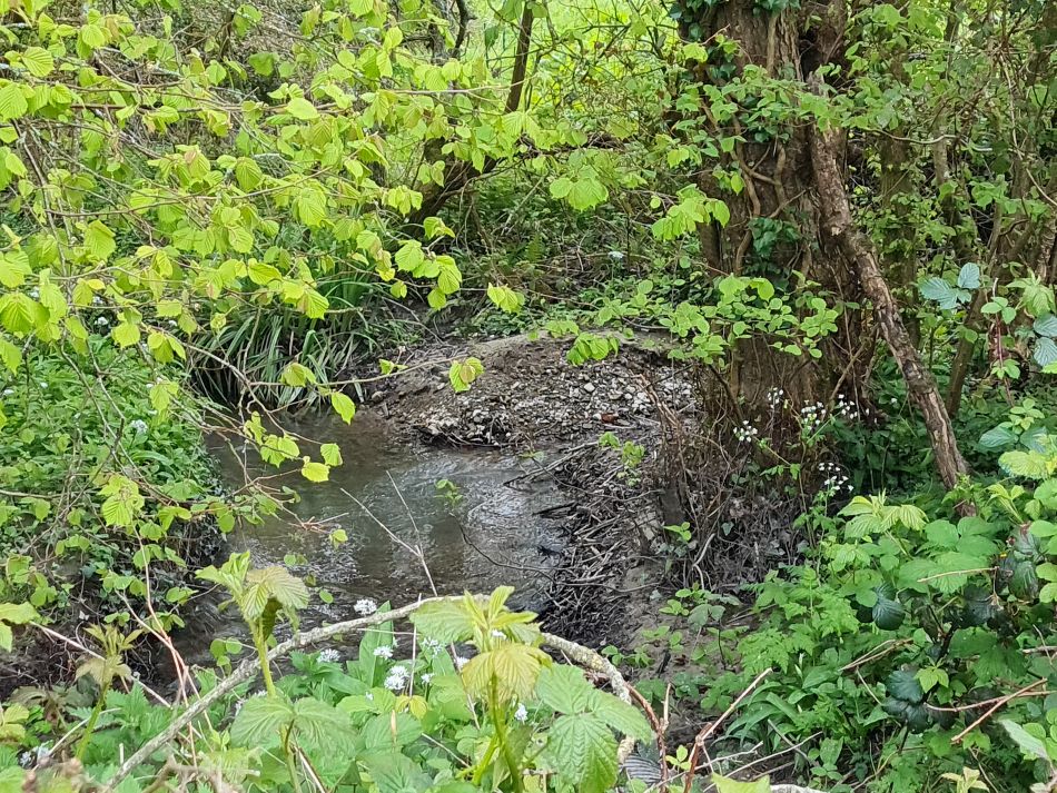 2024-04-24 12 Petersfield and Buriton.jpg