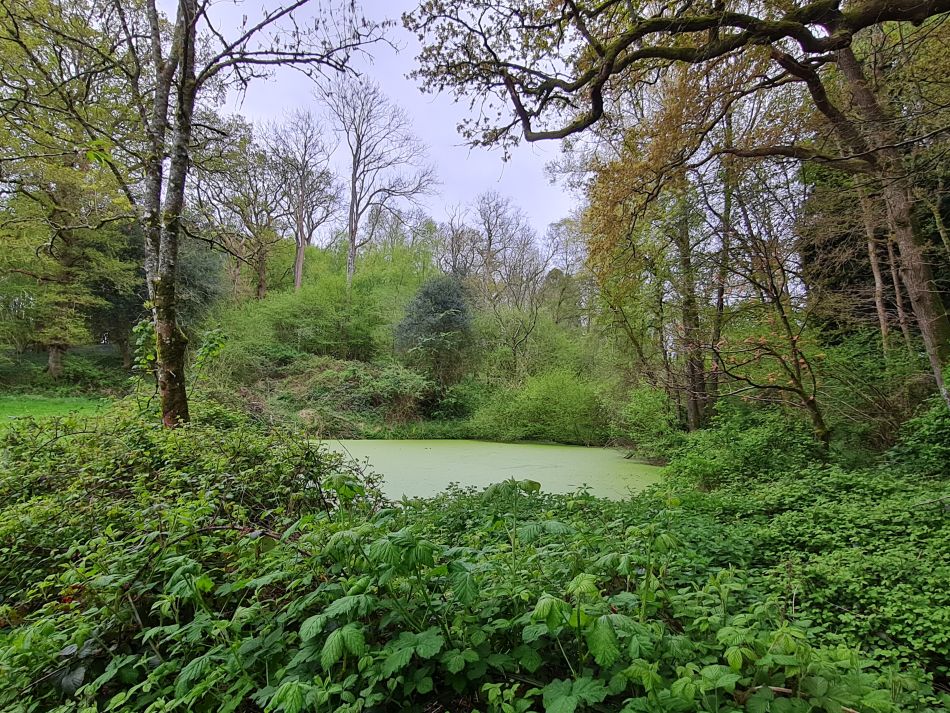 2024-04-24 14 Petersfield and Buriton.jpg