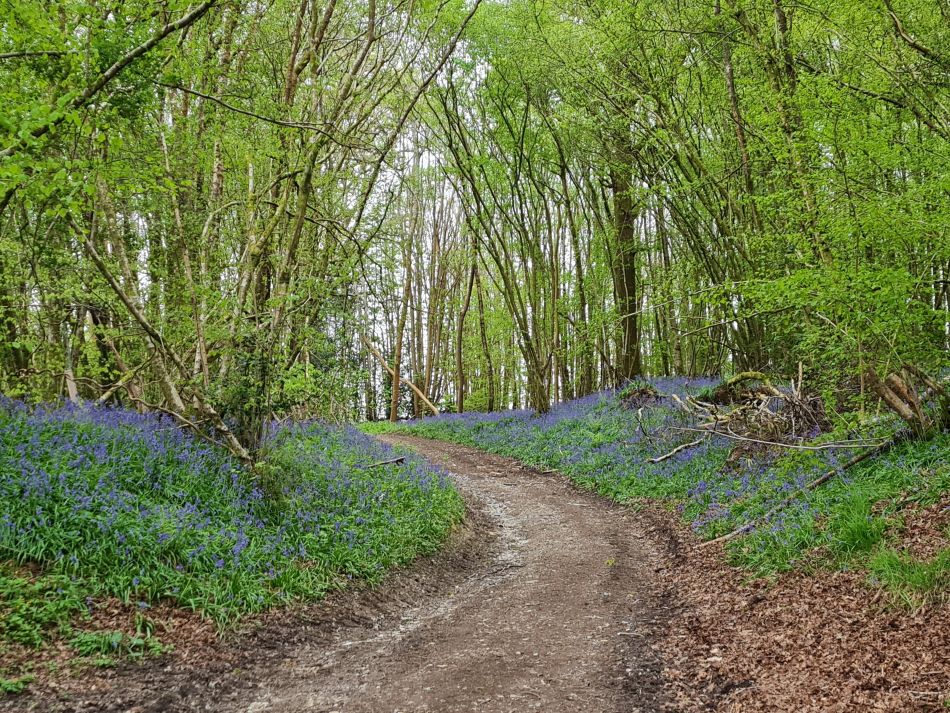 2024-04-24 15 Petersfield and Buriton.jpg