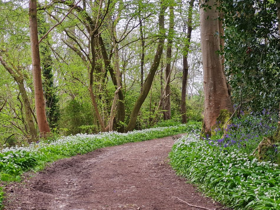 2024-04-24 17 Petersfield and Buriton.jpg