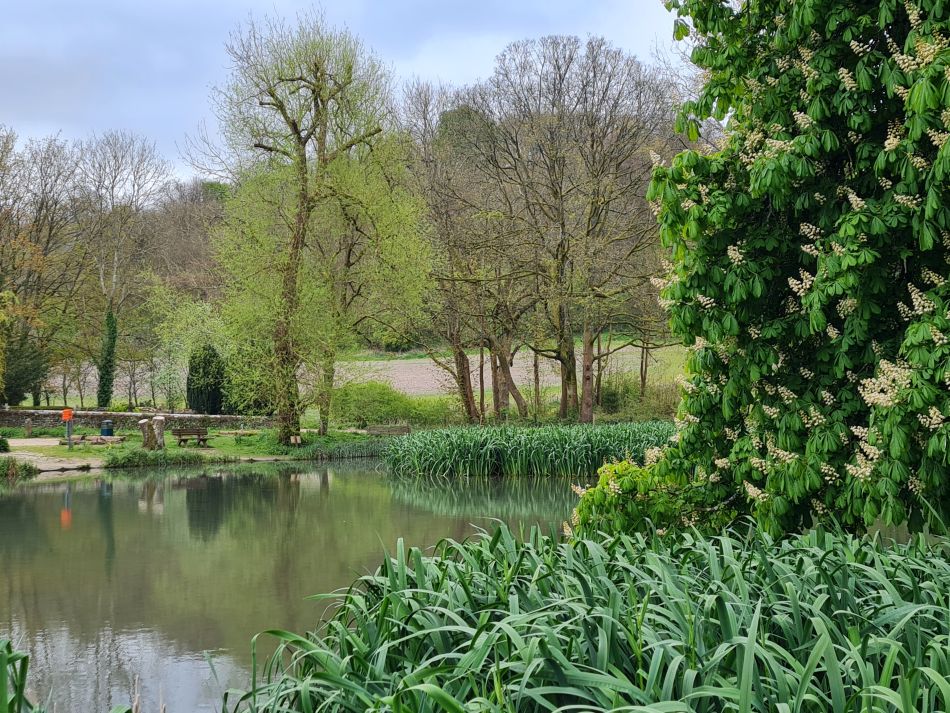 2024-04-24 26 Petersfield and Buriton.jpg