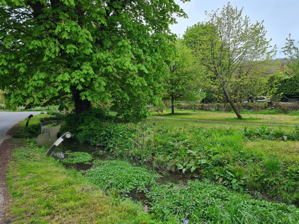 2024-04-24 40 Petersfield and Buriton.jpg