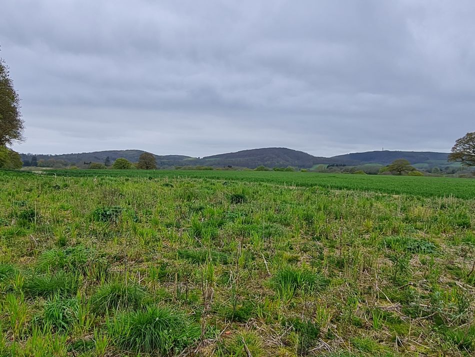 2024-04-24 41 Petersfield and Buriton.jpg