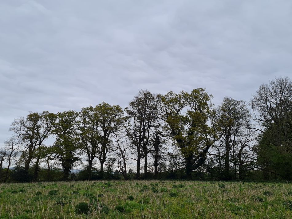 2024-04-24 42 Petersfield and Buriton.jpg