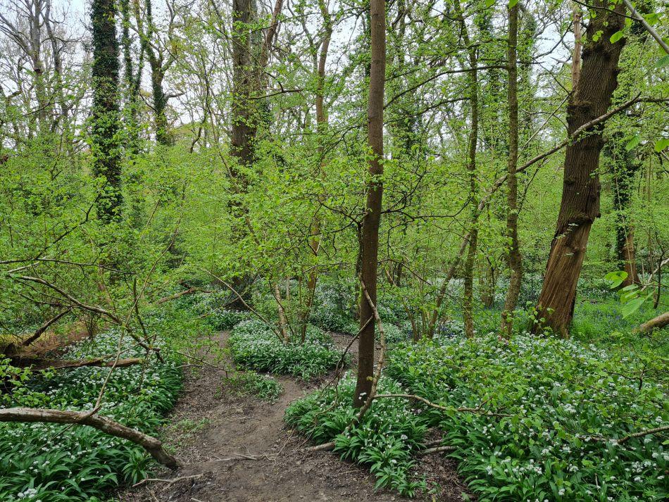 2024-04-24 43 Petersfield and Buriton.jpg