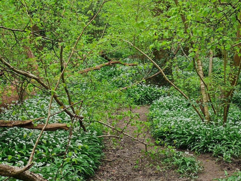 2024-04-24 44 Petersfield and Buriton.jpg