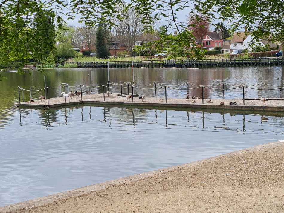 2024-04-24 46 Petersfield and Buriton.jpg