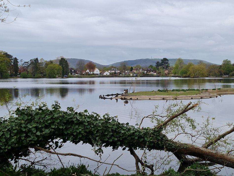 2024-04-24 47 Petersfield and Buriton.jpg