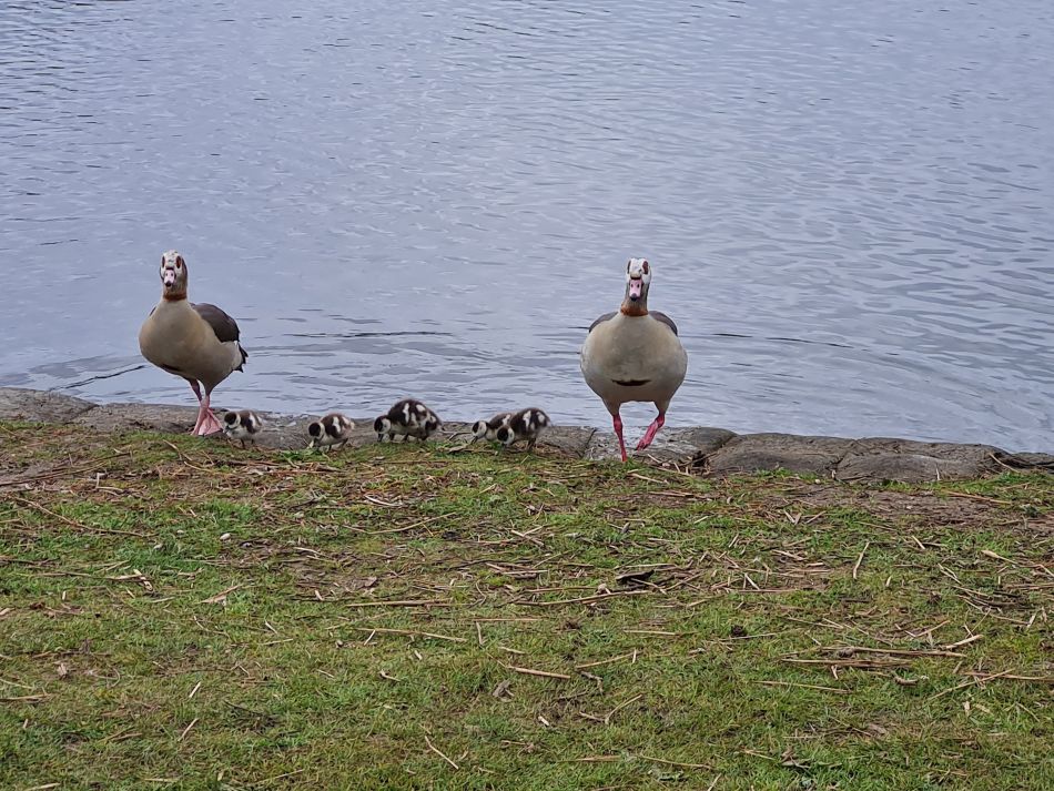 2024-04-24 48 Petersfield and Buriton.jpg