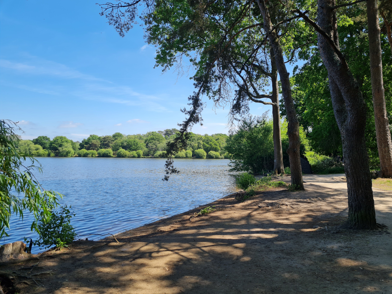 2025-05-18 01 Petersfield and Buriton.jpg