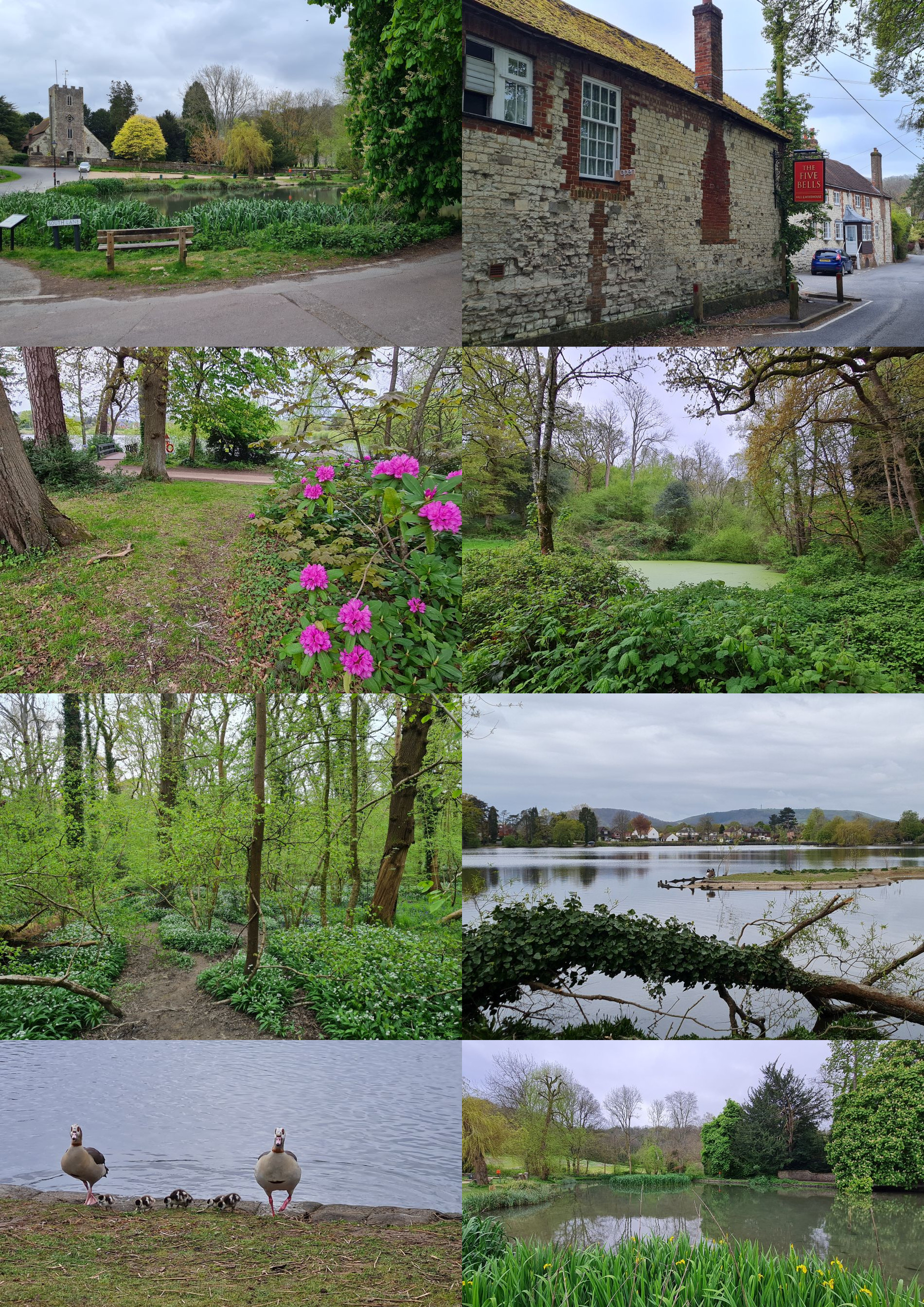 2025-05-18 98 Image.jpg