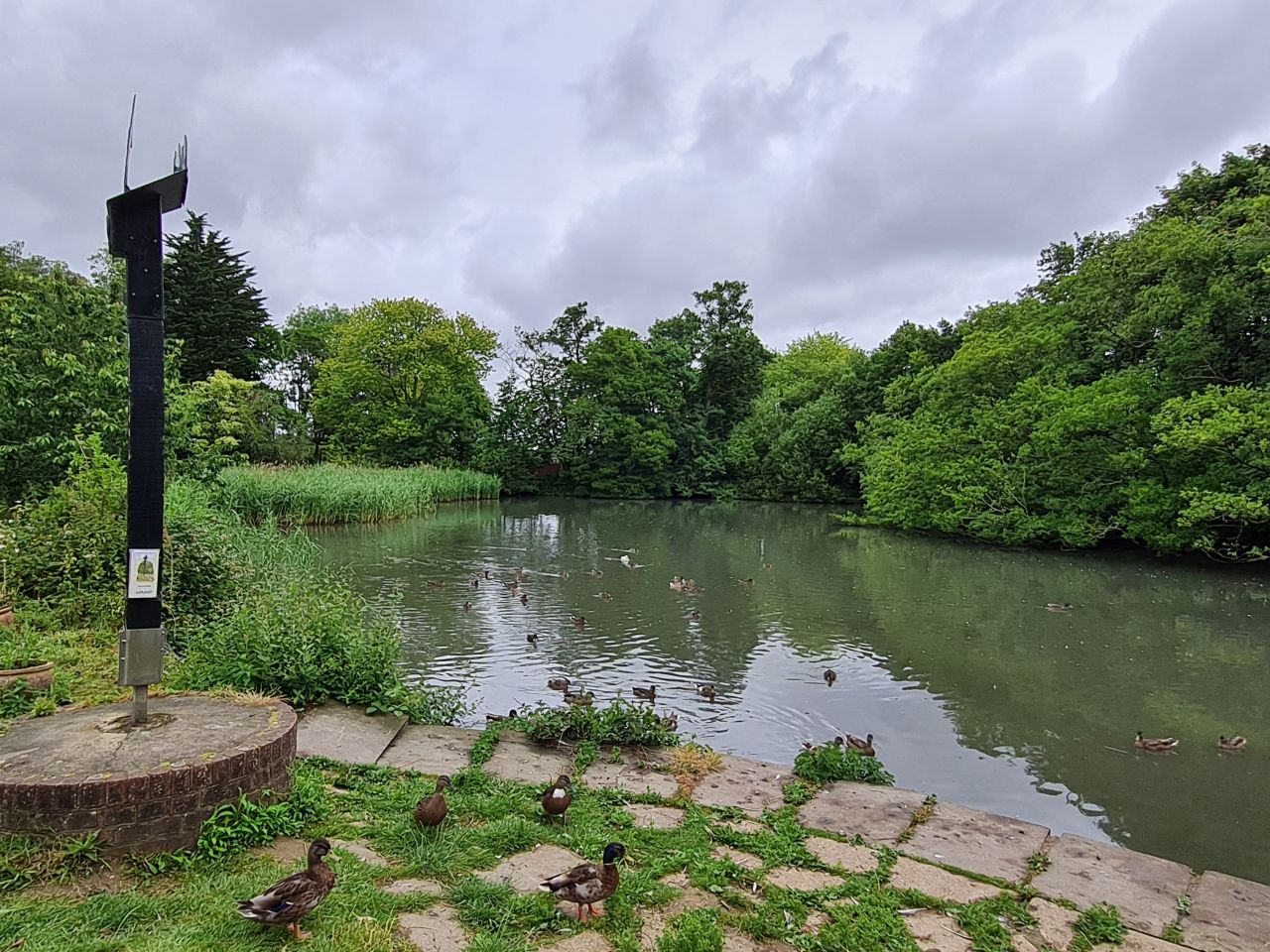 2024-07-02 13 Village Maid.jpg