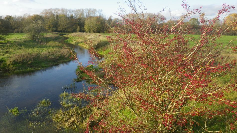 2020-10-12 01 Sizewell and Minsmere.jpg