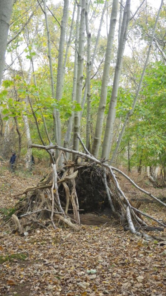 2020-10-12 11 Sizewell and Minsmere.jpg