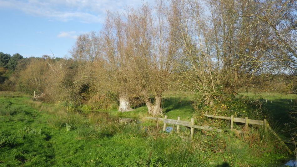 2020-10-12 22 Sizewell and Minsmere.jpg